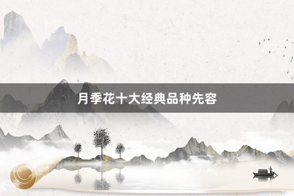 月季花十大经典品种先容