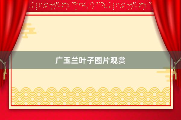 广玉兰叶子图片观赏
