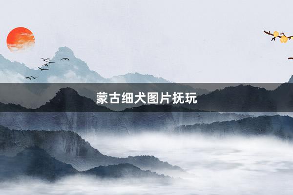 蒙古细犬图片抚玩